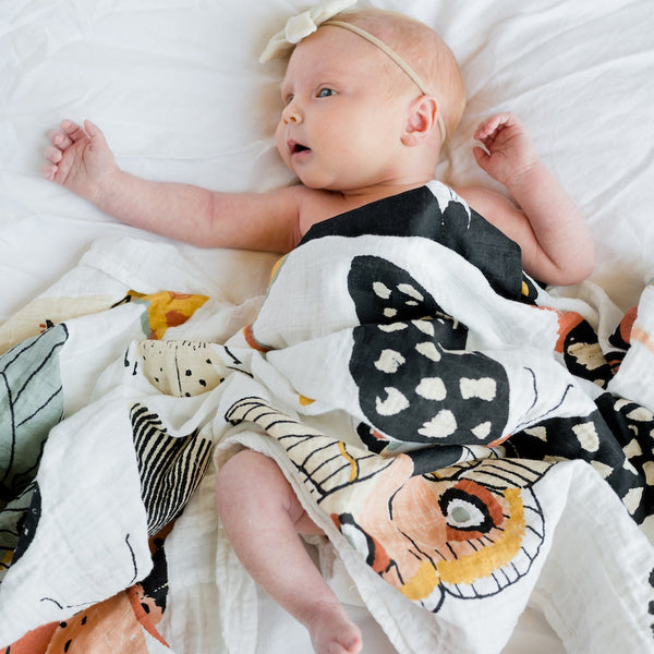 Butterfly Collector Swaddle - HoneyBug 
