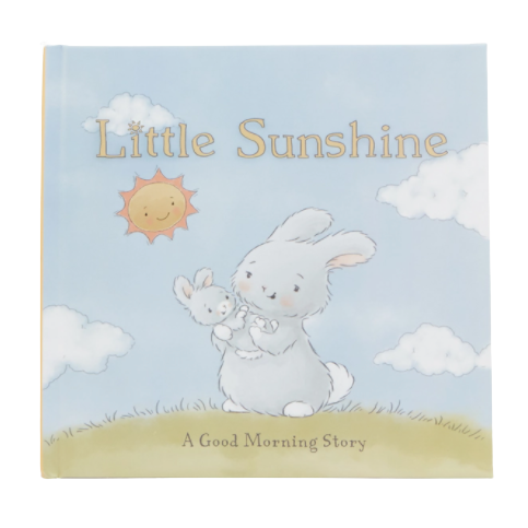 Little Sunshine Board Book - HoneyBug 