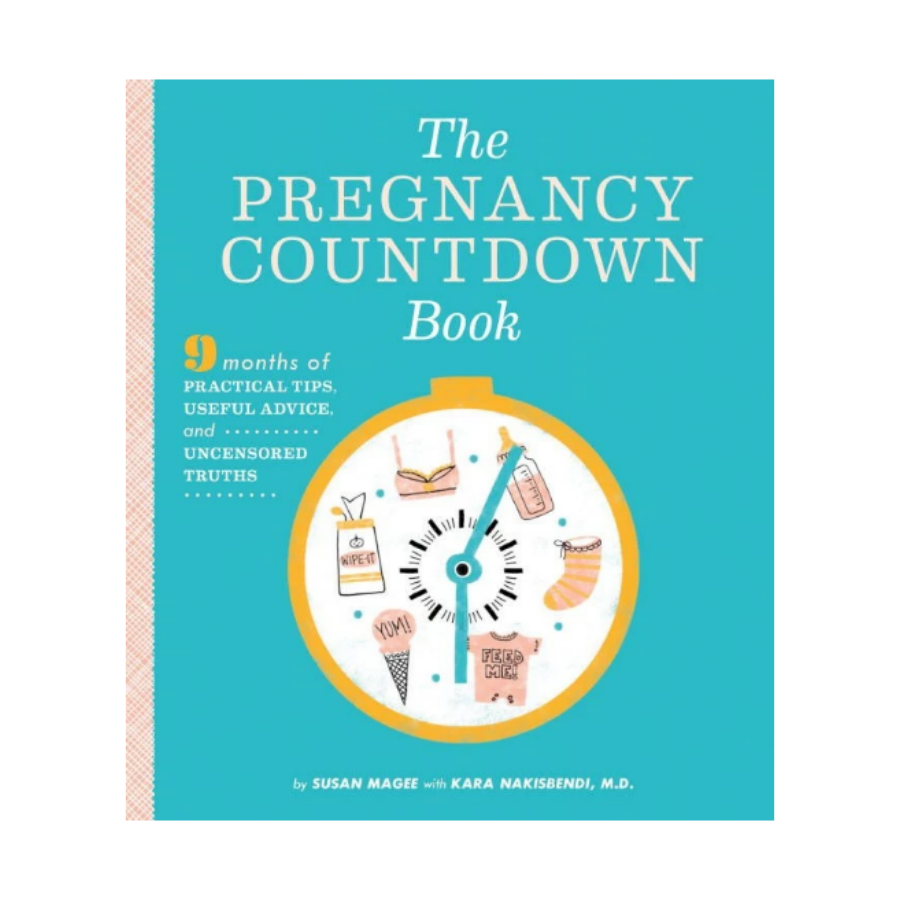 The Pregnancy Countdown Book - HoneyBug 