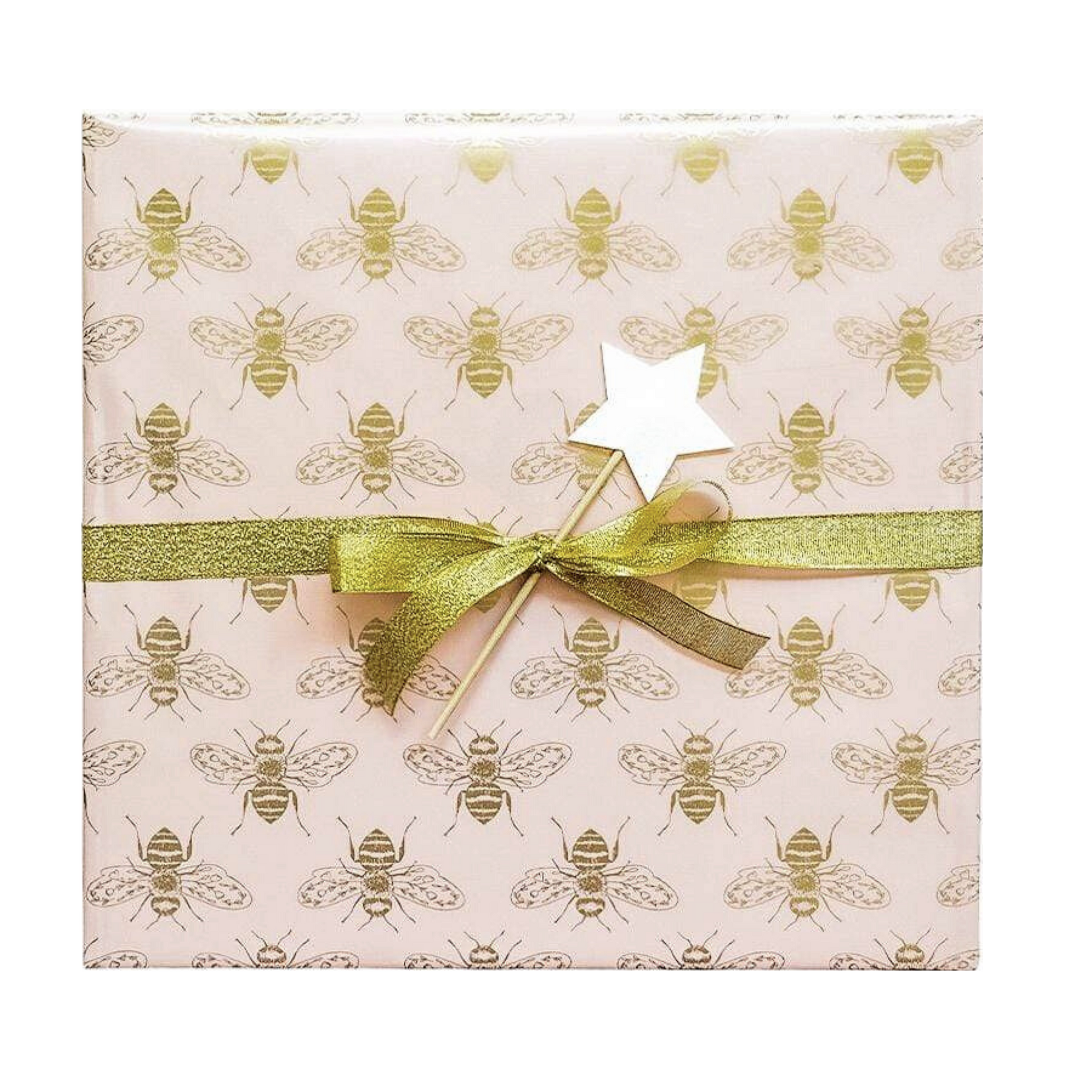 Peach & Gold Gift Wrapping - HoneyBug 