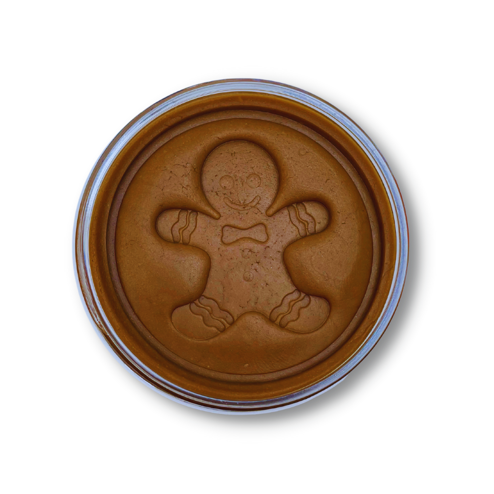 Gingerbread Playdough - HoneyBug 