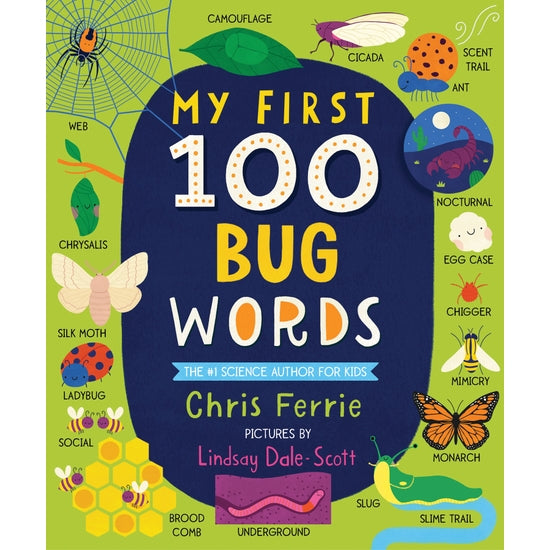 My First 100 Bug Words - HoneyBug 