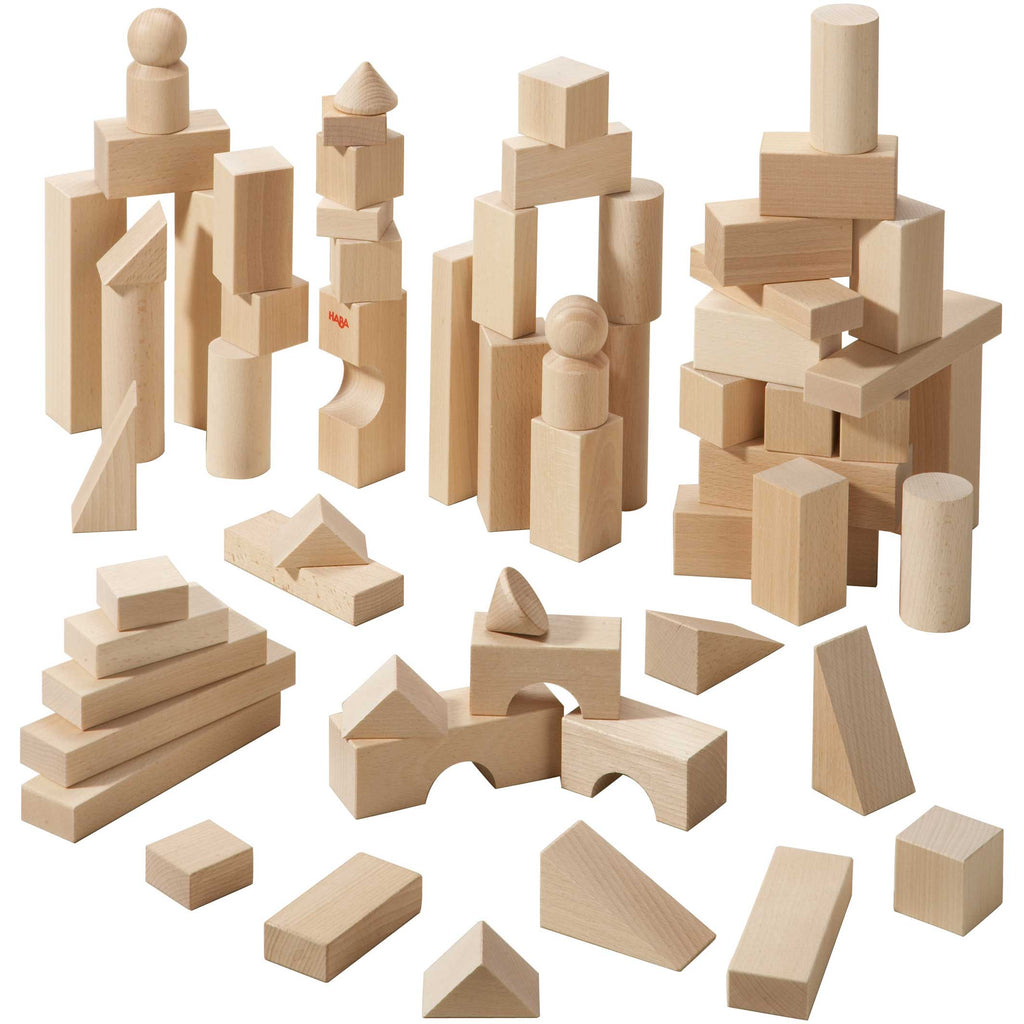 Basic Building Blocks 60 Piece Large Starter Set - HoneyBug 