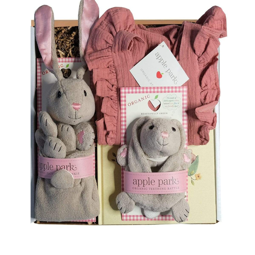 Spring Baby Gift Box - Pink Dress - HoneyBug 