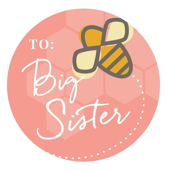 New Sibling Gifts - I'm Tickled Pink You're Here - HoneyBug 