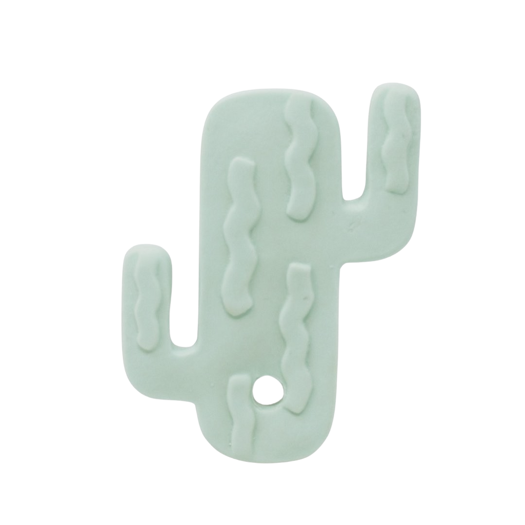 Cactus the Teether - HoneyBug 