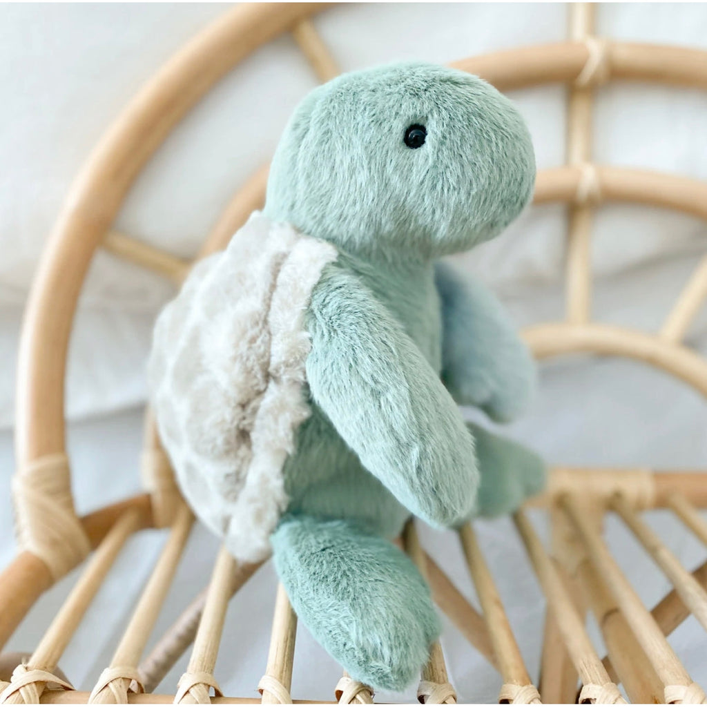 Taylor Cuddle Turtle Plush Toy - HoneyBug 