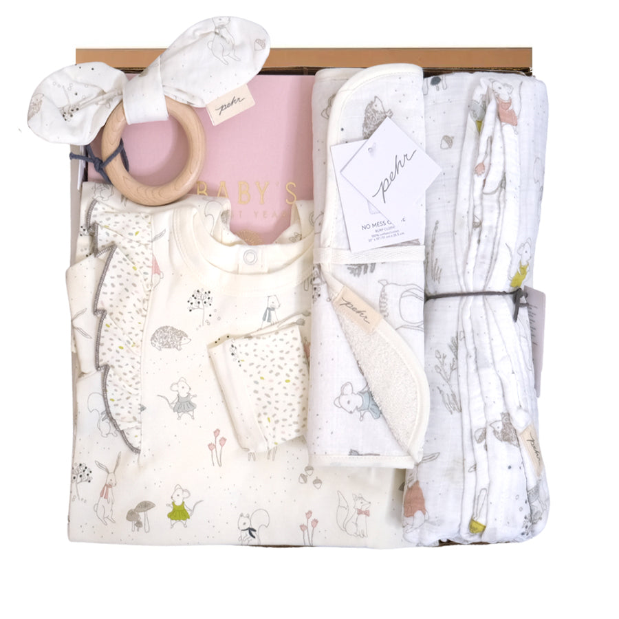 Whimsical Baby Gift Box - HoneyBug 