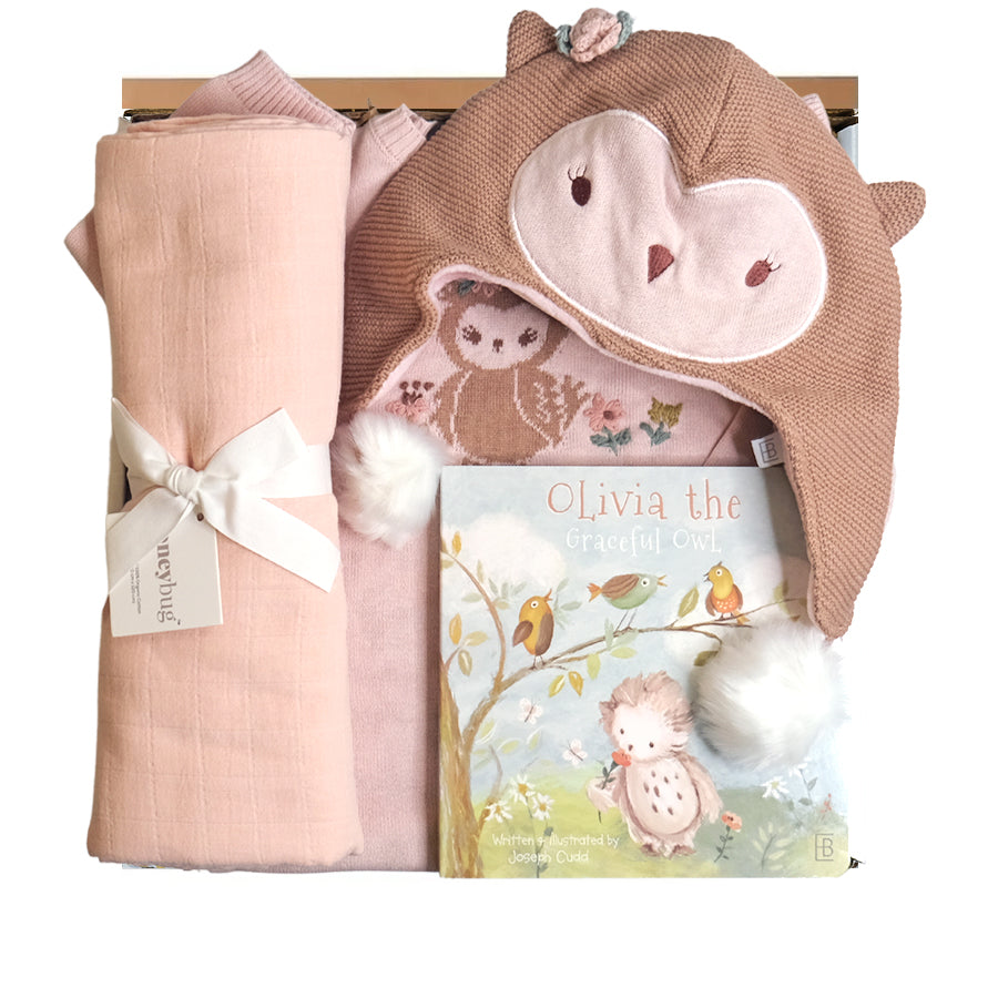 Little Owl Gift Box - HoneyBug 