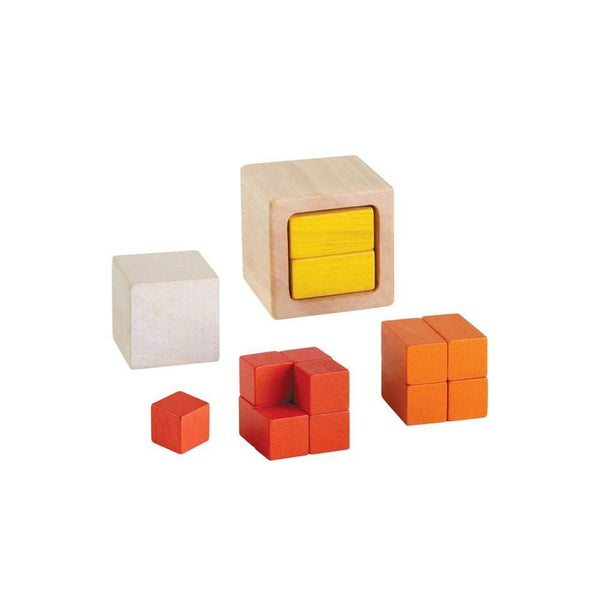 Fraction Cubes - HoneyBug 