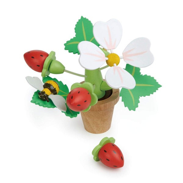 Strawberry Flower Pot - HoneyBug 