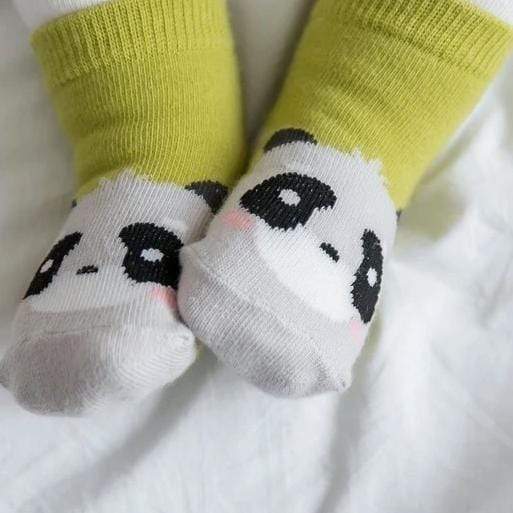 Panda Socks - HoneyBug 